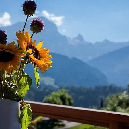 Le Bristol - Bristol