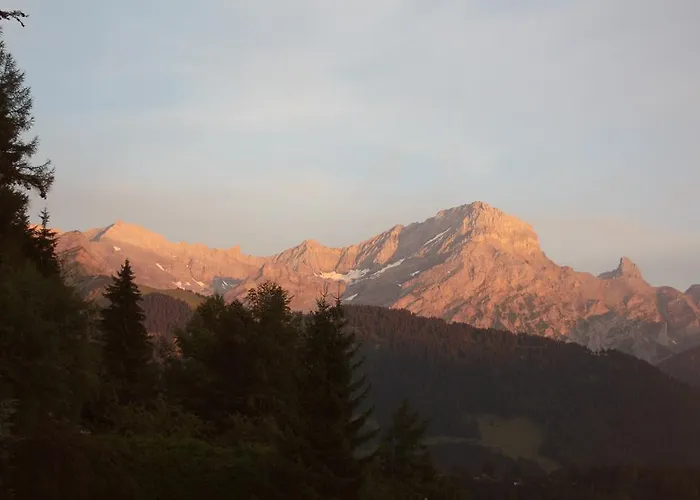 Apartment Le Bristol - Villars Bristol Apartments *