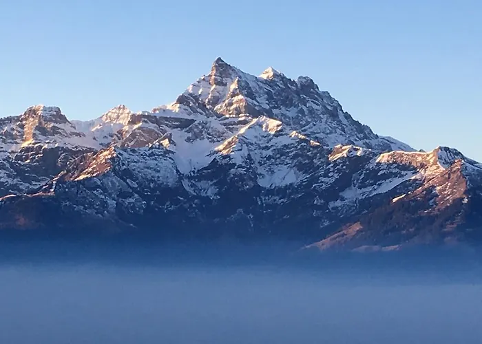 Le Bristol - Bristol * Villars-sur-Ollon