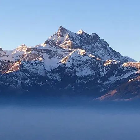 Le Bristol - Bristol * Villars-sur-Ollon