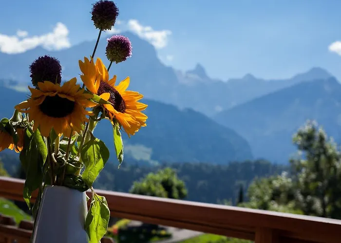 Le Bristol - Bristol