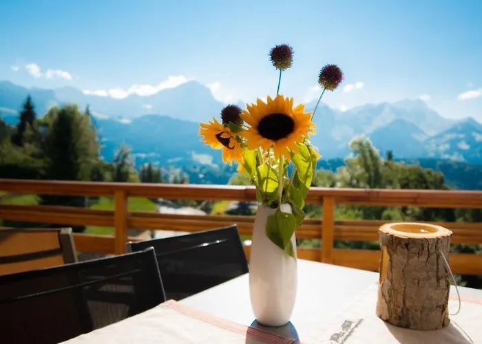 Le Bristol - Bristol Villars-sur-Ollon